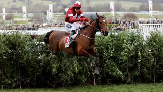 Gordon Elliott - Tiger Roll